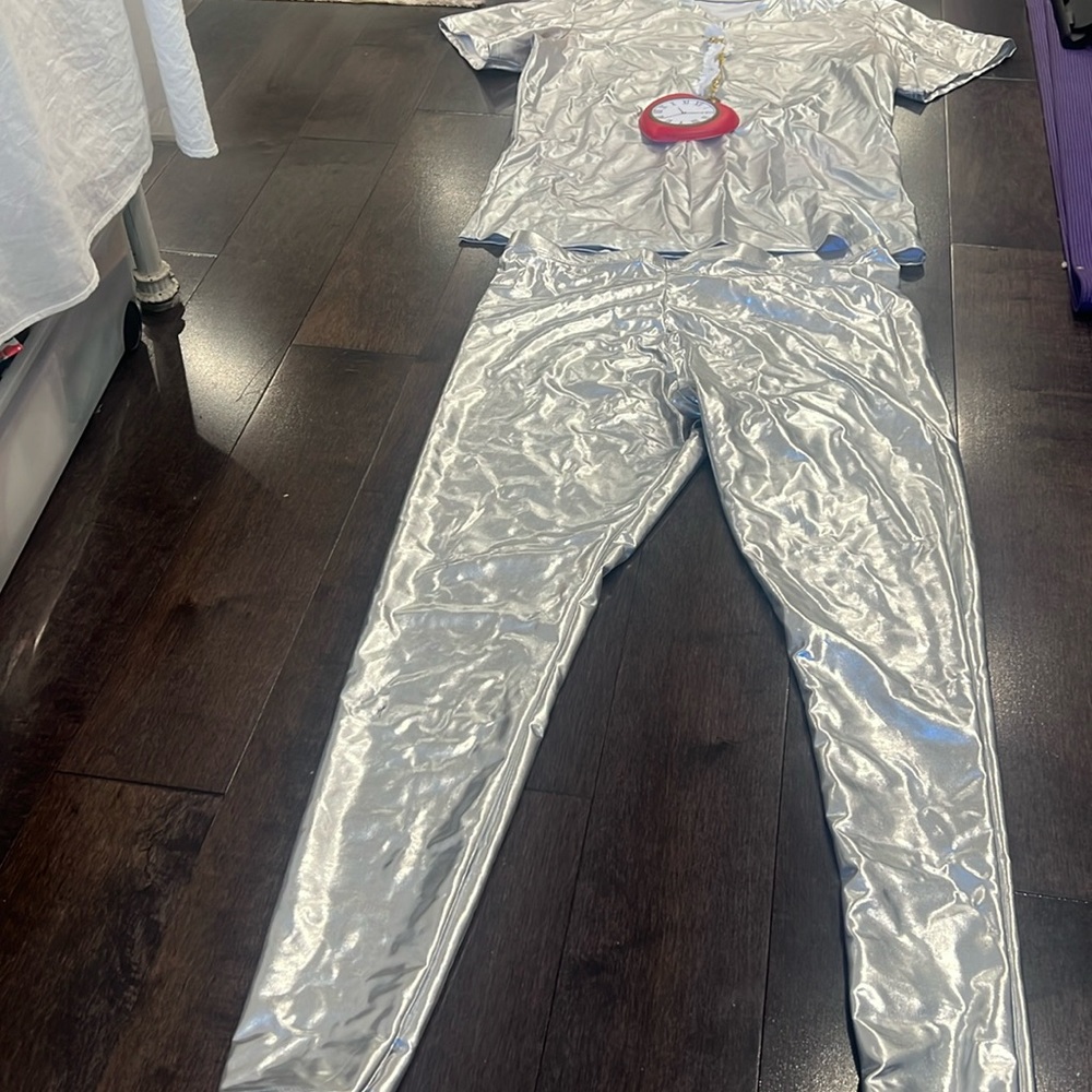 Adult Halloween Costume: TinMan or Alien!?